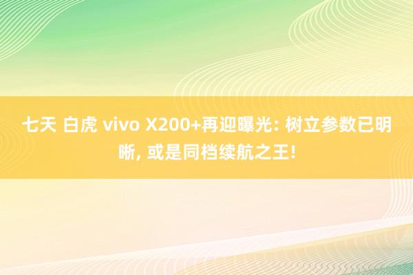 七天 白虎 vivo X200+再迎曝光: 树立参数已明晰， 或是同档续航之王!