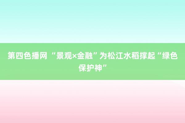 第四色播网 “景观×金融”为松江水稻撑起“绿色保护神”