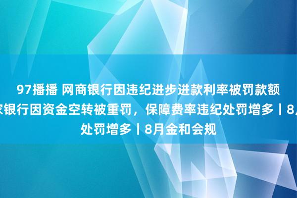 97播播 网商银行因违纪进步进款利率被罚款额最多，多家银行因资金空转被重罚，保障费率违纪处罚增多丨8月金和会规