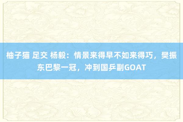 柚子猫 足交 杨毅：情景来得早不如来得巧，樊振东巴黎一冠，冲到国乒副GOAT