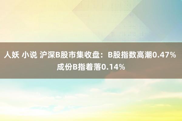 人妖 小说 沪深B股市集收盘：B股指数高潮0.47% 成份B指着落0.14%