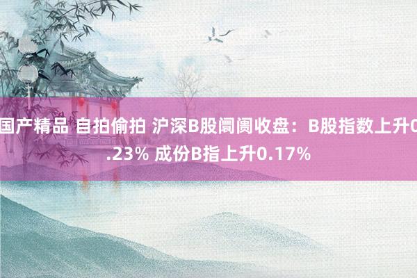 国产精品 自拍偷拍 沪深B股阛阓收盘：B股指数上升0.23% 成份B指上升0.17%