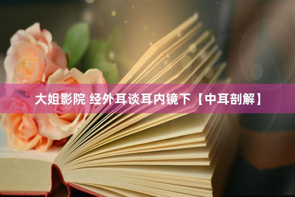 大姐影院 经外耳谈耳内镜下【中耳剖解】