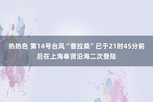 热热色 第14号台风“普拉桑”已于21时45分前后在上海奉贤沿海二次登陆