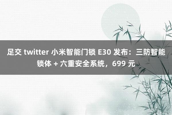 足交 twitter 小米智能门锁 E30 发布：三防智能锁体 + 六重安全系统，699 元