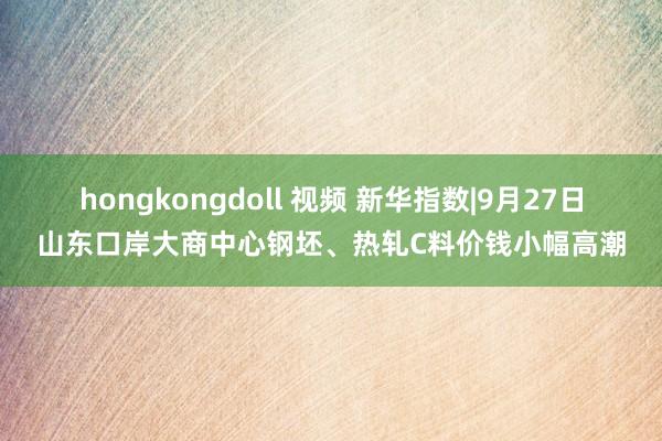 hongkongdoll 视频 新华指数|9月27日山东口岸大商中心钢坯、热轧C料价钱小幅高潮