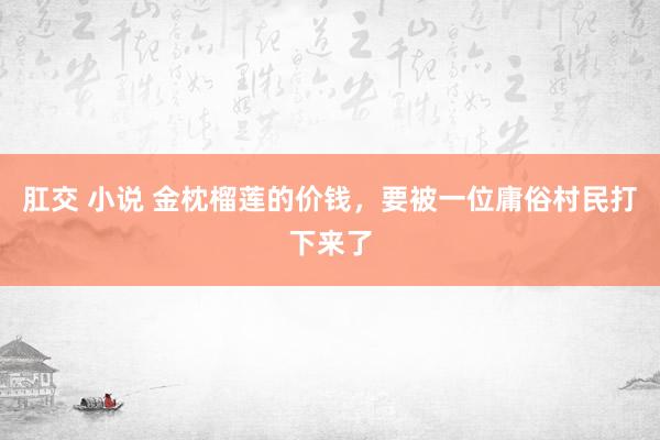 肛交 小说 金枕榴莲的价钱，要被一位庸俗村民打下来了