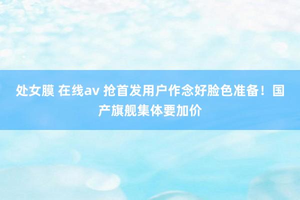 处女膜 在线av 抢首发用户作念好脸色准备！国产旗舰集体要加价