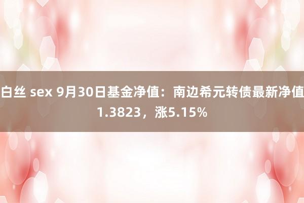 白丝 sex 9月30日基金净值：南边希元转债最新净值1.3823，涨5.15%