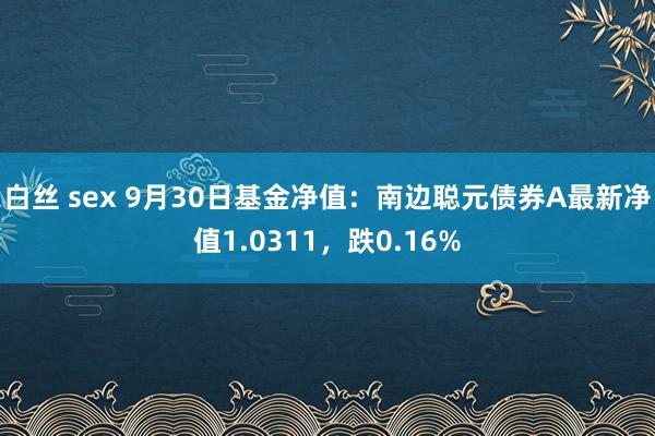 白丝 sex 9月30日基金净值：南边聪元债券A最新净值1.0311，跌0.16%