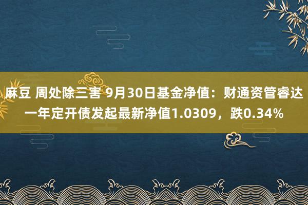 麻豆 周处除三害 9月30日基金净值：财通资管睿达一年定开债发起最新净值1.0309，跌0.34%