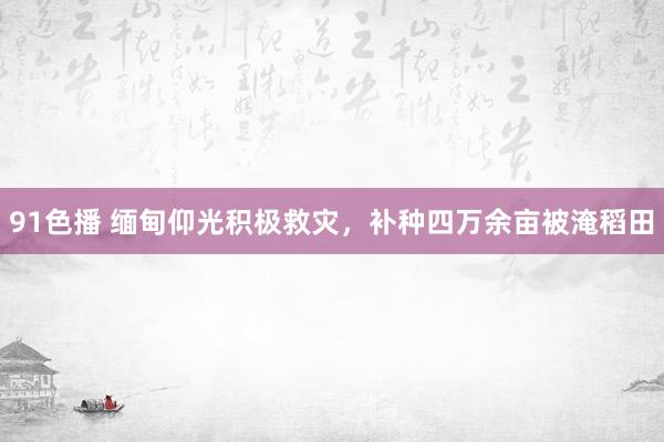 91色播 缅甸仰光积极救灾，补种四万余亩被淹稻田