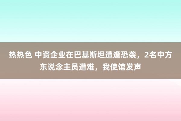 热热色 中资企业在巴基斯坦遭逢恐袭，2名中方东说念主员遭难，我使馆发声