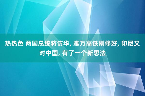 热热色 两国总统将访华， 雅万高铁刚修好， 印尼又对中国， 有了一个新思法