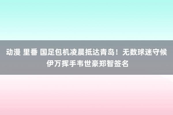 动漫 里番 国足包机凌晨抵达青岛！无数球迷守候 伊万挥手韦世豪郑智签名