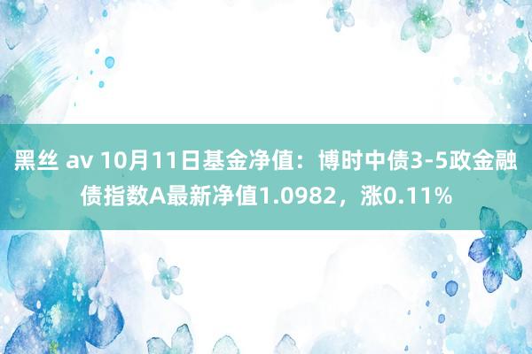 黑丝 av 10月11日基金净值：博时中债3-5政金融债指数A最新净值1.0982，涨0.11%