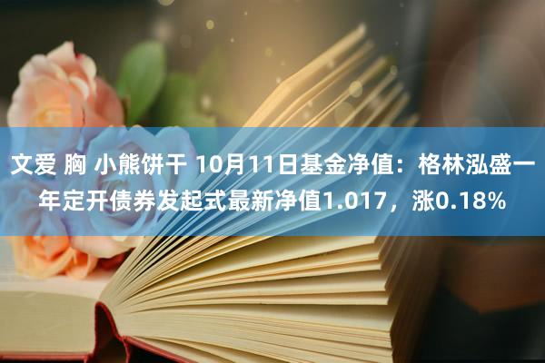 文爱 胸 小熊饼干 10月11日基金净值：格林泓盛一年定开债券发起式最新净值1.017，涨0.18%