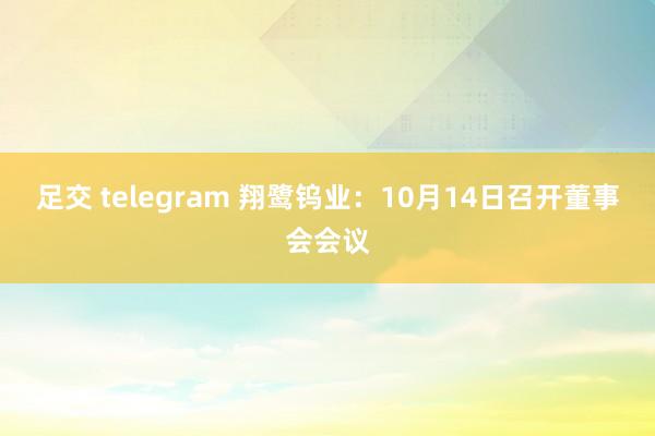 足交 telegram 翔鹭钨业：10月14日召开董事会会议