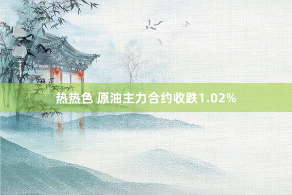 热热色 原油主力合约收跌1.02%