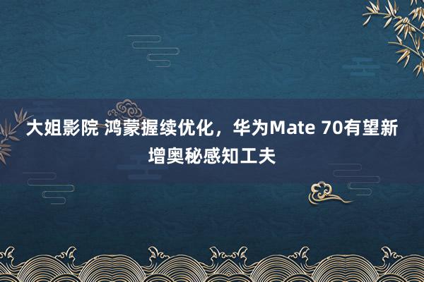 大姐影院 鸿蒙握续优化，华为Mate 70有望新增奥秘感知工夫