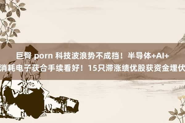 巨臀 porn 科技波浪势不成挡！半导体+AI+消耗电子获合手续看好！15只滞涨绩优股获资金埋伏