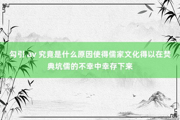 勾引 av 究竟是什么原因使得儒家文化得以在焚典坑儒的不幸中幸存下来