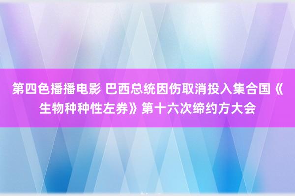 第四色播播电影 巴西总统因伤取消投入集合国《生物种种性左券》第十六次缔约方大会