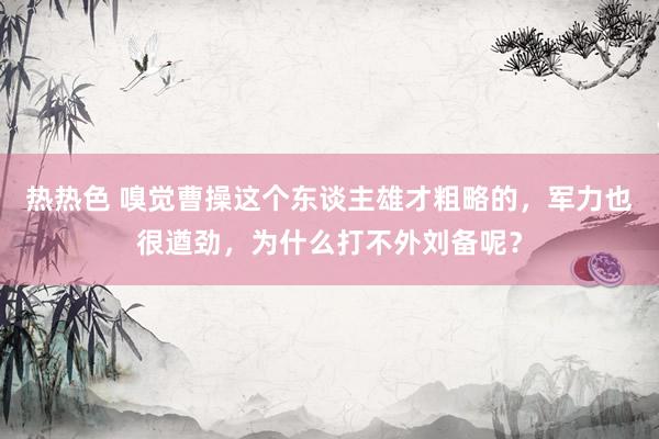 热热色 嗅觉曹操这个东谈主雄才粗略的，军力也很遒劲，为什么打不外刘备呢？