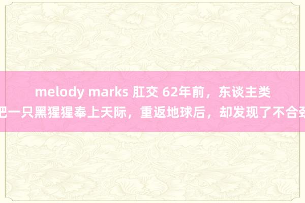 melody marks 肛交 62年前，东谈主类把一只黑猩猩奉上天际，重返地球后，却发现了不合劲