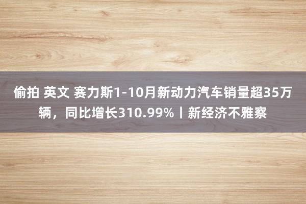 偷拍 英文 赛力斯1-10月新动力汽车销量超35万辆，同比增长310.99%丨新经济不雅察