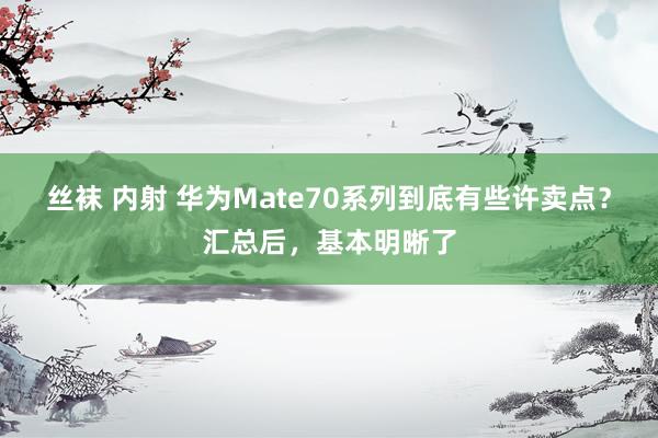 丝袜 内射 华为Mate70系列到底有些许卖点？汇总后，基本明晰了