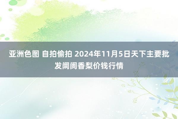 亚洲色图 自拍偷拍 2024年11月5日天下主要批发阛阓香梨价钱行情