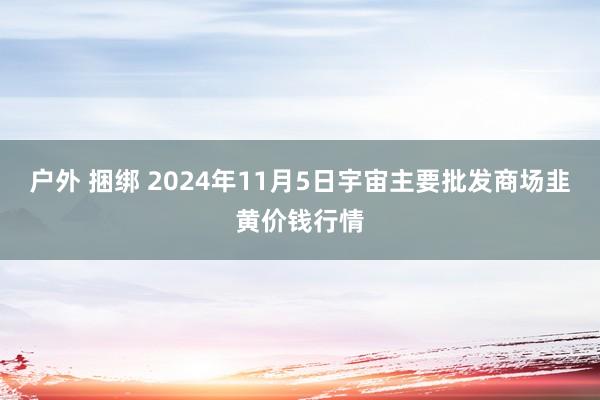 户外 捆绑 2024年11月5日宇宙主要批发商场韭黄价钱行情