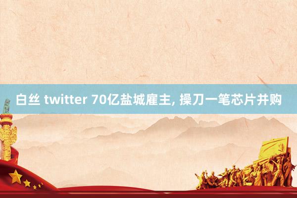 白丝 twitter 70亿盐城雇主， 操刀一笔芯片并购