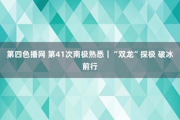 第四色播网 第41次南极熟悉｜“双龙”探极 破冰前行