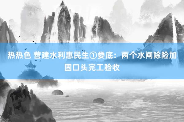 热热色 营建水利惠民生①娄底：两个水闸除险加固口头完工验收