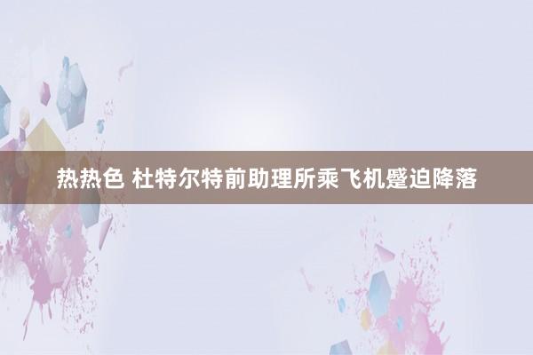 热热色 杜特尔特前助理所乘飞机蹙迫降落