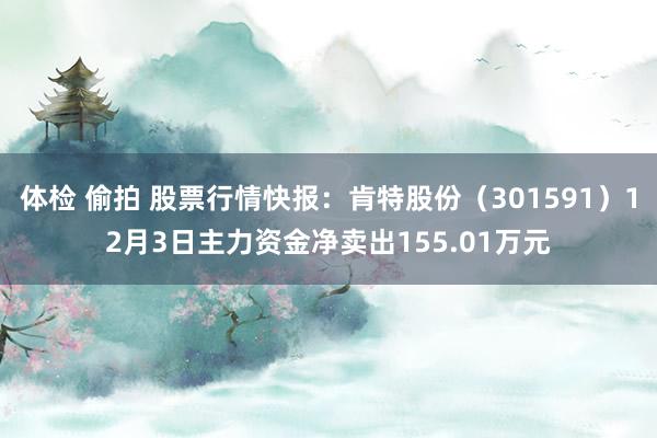 体检 偷拍 股票行情快报：肯特股份（301591）12月3日主力资金净卖出155.01万元