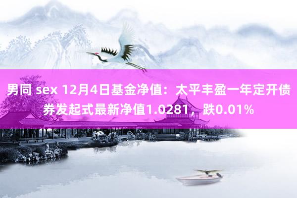 男同 sex 12月4日基金净值：太平丰盈一年定开债券发起式最新净值1.0281，跌0.01%