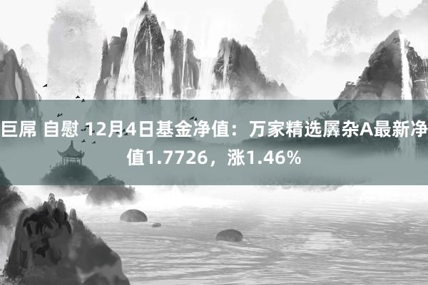 巨屌 自慰 12月4日基金净值：万家精选羼杂A最新净值1.7726，涨1.46%