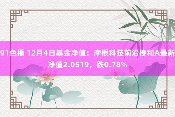 91色播 12月4日基金净值：摩根科技前沿搀和A最新净值2.0519，跌0.78%