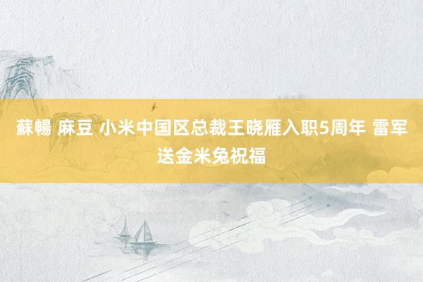 蘇暢 麻豆 小米中国区总裁王晓雁入职5周年 雷军送金米兔祝福