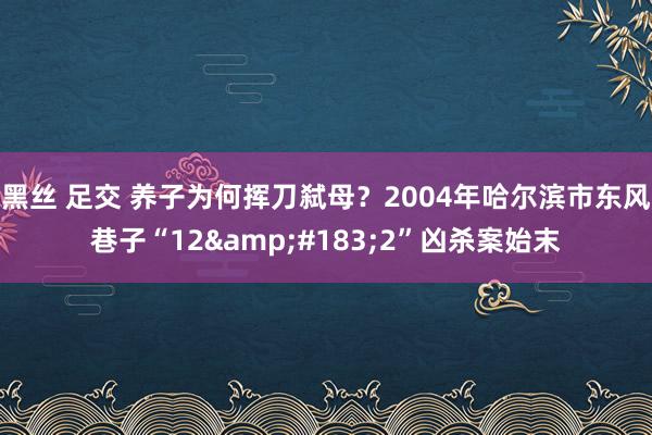 黑丝 足交 养子为何挥刀弑母？2004年哈尔滨市东风巷子“12&#183;2”凶杀案始末