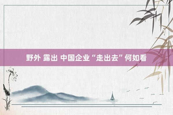 野外 露出 中国企业“走出去”何如看