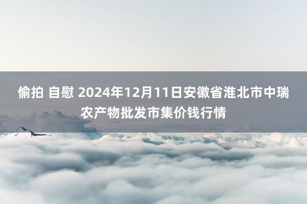 偷拍 自慰 2024年12月11日安徽省淮北市中瑞农产物批发市集价钱行情