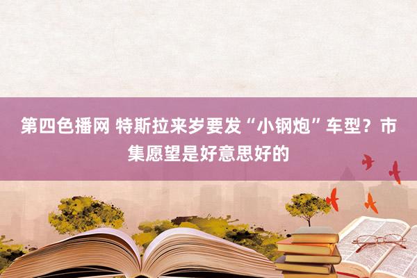 第四色播网 特斯拉来岁要发“小钢炮”车型？市集愿望是好意思好的