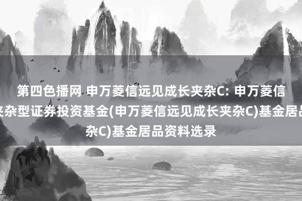 第四色播网 申万菱信远见成长夹杂C: 申万菱信远见成长夹杂型证券投资基金(申万菱信远见成长夹杂C)基金居品资料选录