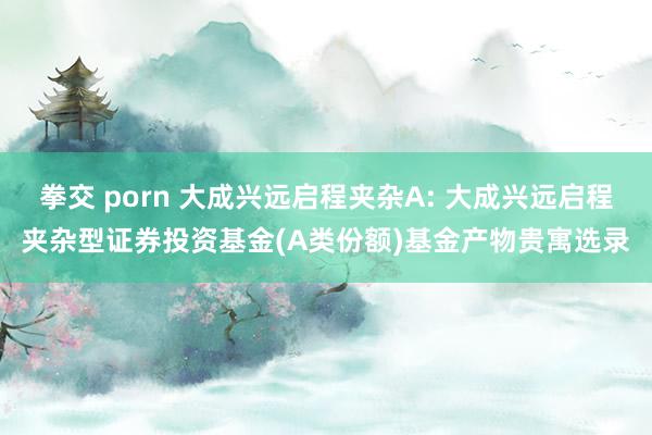 拳交 porn 大成兴远启程夹杂A: 大成兴远启程夹杂型证券投资基金(A类份额)基金产物贵寓选录