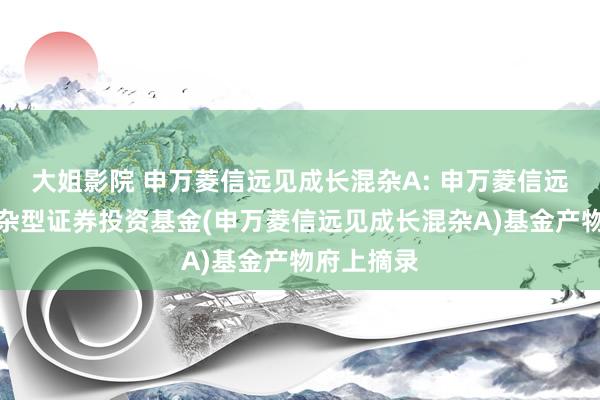 大姐影院 申万菱信远见成长混杂A: 申万菱信远见成长混杂型证券投资基金(申万菱信远见成长混杂A)基金产物府上摘录