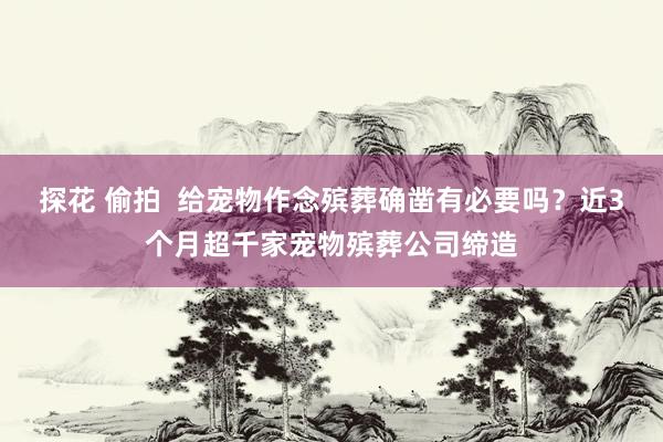 探花 偷拍  给宠物作念殡葬确凿有必要吗？近3个月超千家宠物殡葬公司缔造